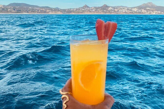 Private Sunset Cruise in San Jose del Cabo Appetizers,open bar - The Sum Up