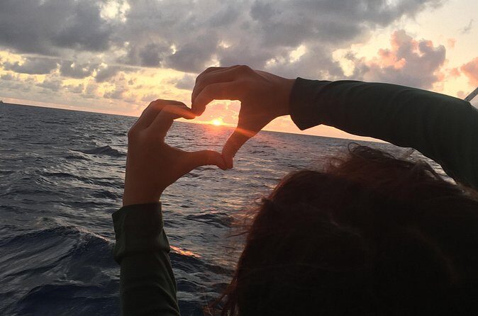 Private Sunset Harbor Sail (25 Max) - Practical Tips for Booking and Enjoying