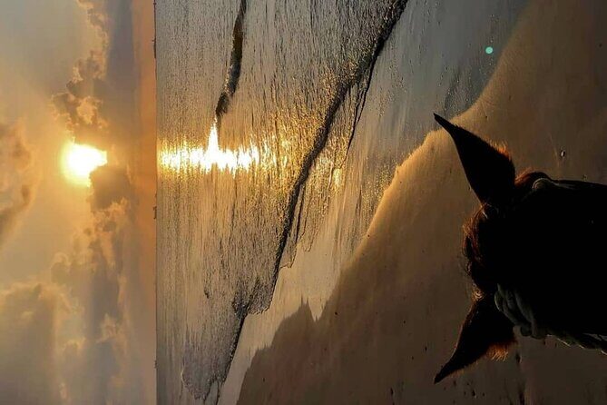 Private Sunset Horseback Riding in punta cana beach - The Sum Up