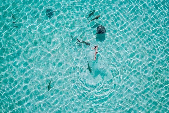 PRIVATE Sunset Tour: Moorea Snorkeling on a Catamaran named Taboo - FAQ