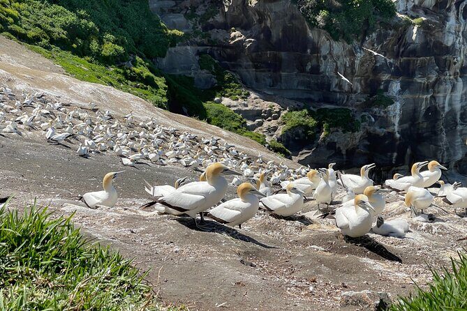 [PRIVATE] SUNSET. Wine. Hot Pool. Dinner - How Do We Value This Experience?