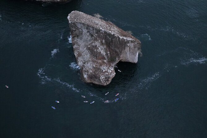 Private SUP Yoga and Snorkeling Adventure to Los Arcos - FAQ