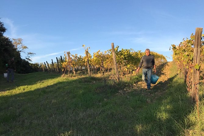 Private Super Tuscan & Extra Virgin Olive Oil Tasting - Olive Oil Tasting