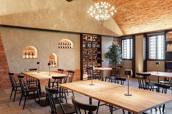 Private Superior Tasting of Extra Virgin Olive Oil and Wine - A Closer Look at the Experience