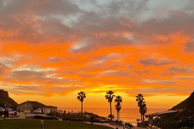 Private Surf Lesson Solana Beach Ride the Waves Fletcher Cove 2hr - An Authentic Surf Lesson in Solana Beach: What to Expect