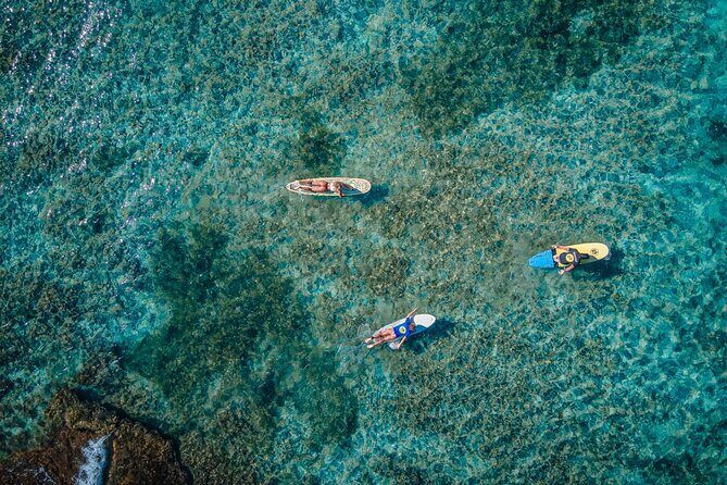 Private Surf Lessons in Guadeloupe - Who Should Book This Experience?
