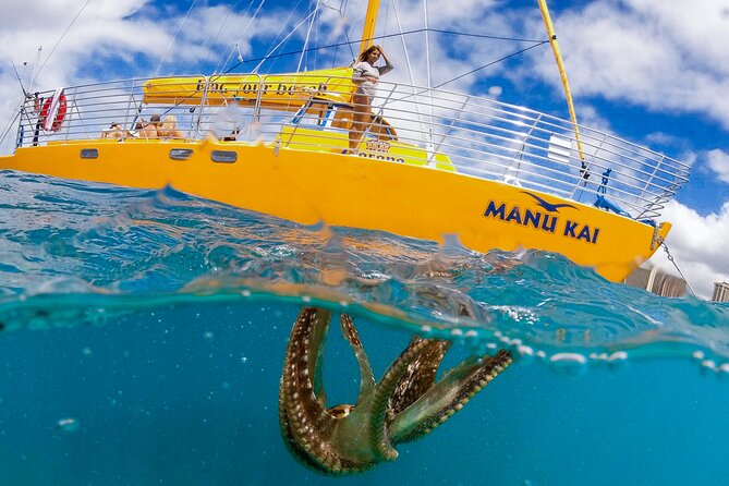 Private Swim and Sail Charter (Kewalo Harbor) - Inclusions of the Experience