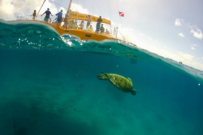 Private Swim and Sail Charter (Kewalo Harbor) - Accessibility and Participation Details
