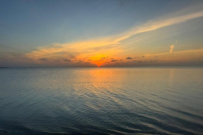 Private Swim With Pigs and Snorkeling in Paradise Tour - An In-Depth Look at the Tour Experience