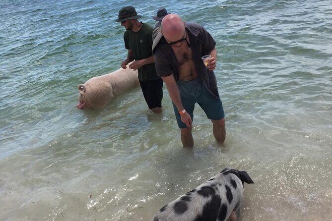 Private Swim With Pigs and Snorkeling in Paradise Tour - The Sum Up: Who Is This Tour Best For?