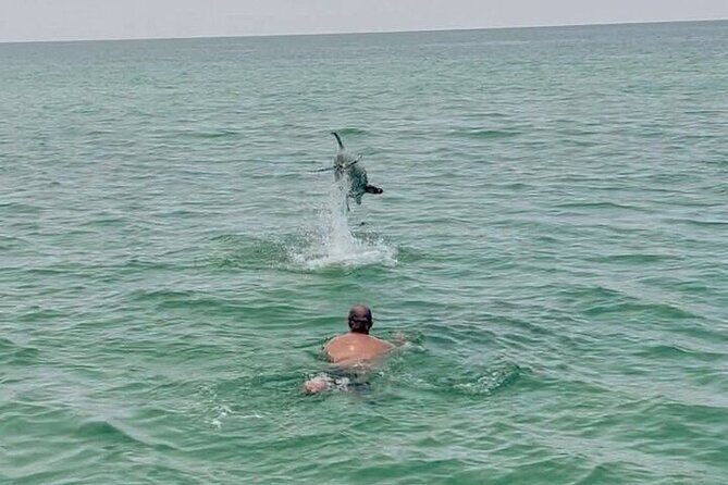 Private Swimming with Dolphins in Panama City Beach Florida - An In-Depth Look at the Experience