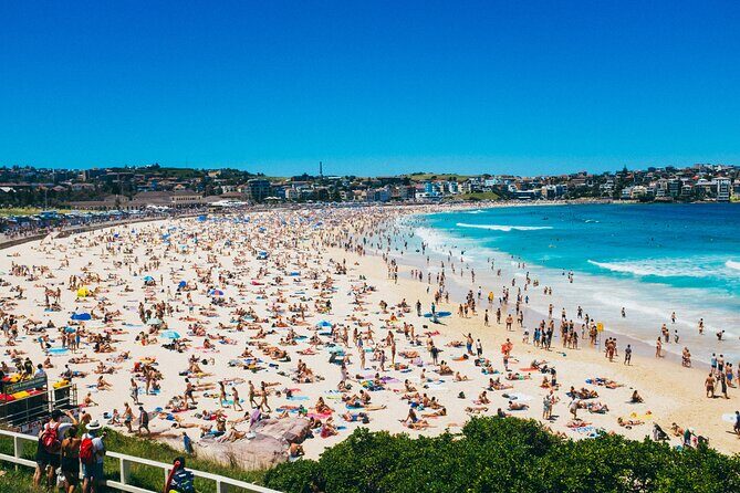 PRIVATE Sydney City Bondi Beach Opera House & Botanic Garden Tour - Why the Tour Offers Value