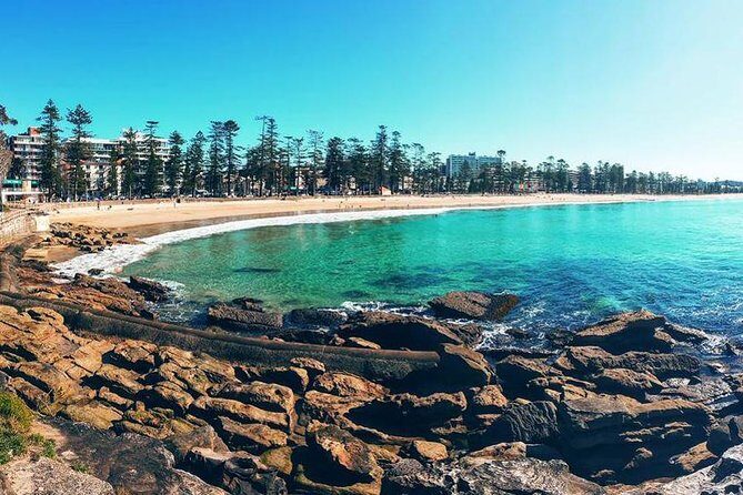 Private Sydney Tour Including Sydney Opera House, Bondi and Manly - Exploring the Sydney Opera House and Mrs Macquaries Chair