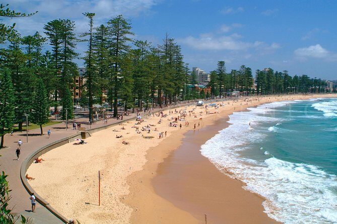 Private Sydney Tour Including Sydney Opera House, Bondi and Manly - The Northern Beaches: Manly and North Head