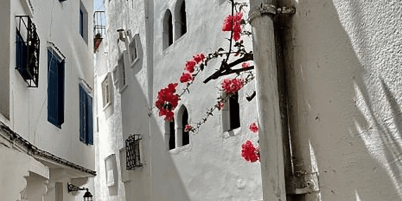 Private Tangier Tour With Cooking Class - Moroccan Cooking Class Experience