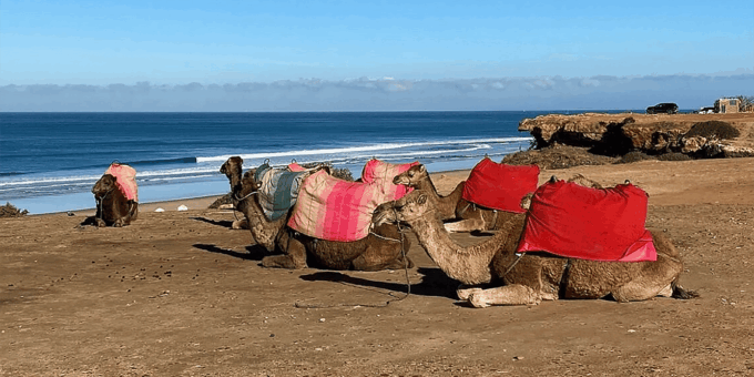 Private Tangier Tour With Cooking Class - Market Strolls and Observations