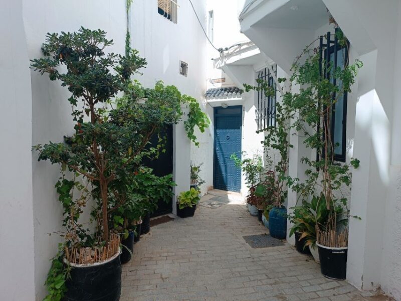 Private Tangier Tour With Lunch and Camel Ride - Transportation and Accessibility