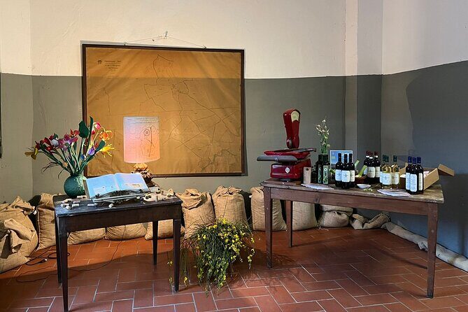 Private tasting of organic wines in the cellar in Arezzo - The Experience: What to Expect