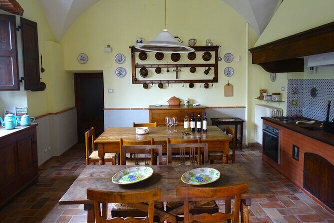 Private tasting of organic wines in the cellar in Arezzo - Reviews and What Travelers Say