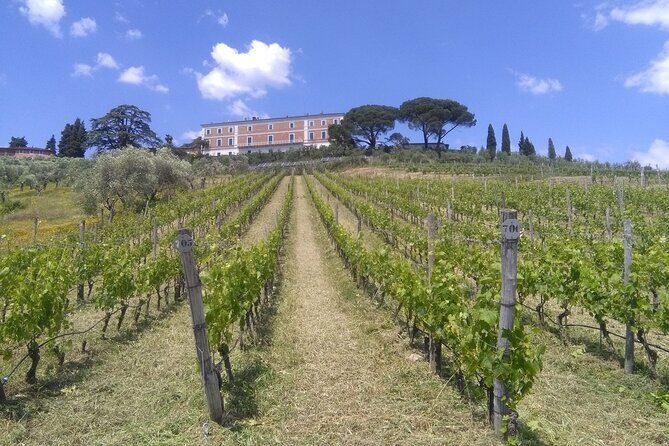 Private tasting of wines and oil to discover Lucca Ducale - Key Points