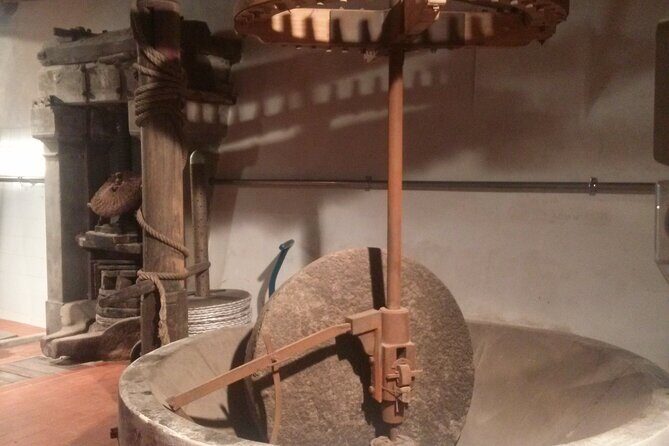 Private tasting of wines and oil to discover Lucca Ducale - Why This Tour Works for Travelers