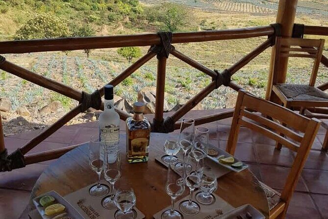 Private Tasting Tour Hacienda de Oro, Amatitan Jalisco - What to Expect from the Hacienda de Oro Private Tasting Tour