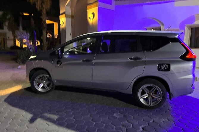 Private Taxi From Luxor Int. Airport To Luxor City Hotels - Pickup and Meeting Location