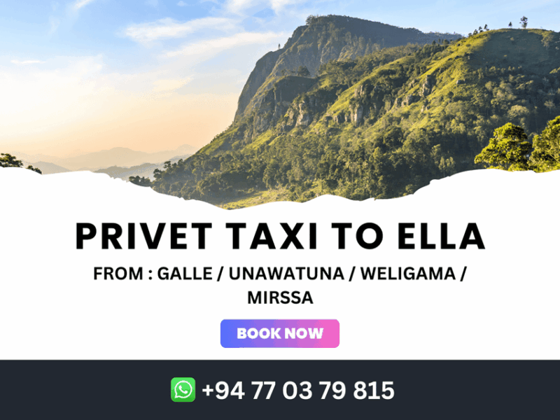 Private Taxi To Ella From Weligama & Mirissa - Vehicle and Driver Experience