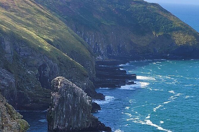 Private Taxi Tour of Blarney Castle ,Cork ,Kinsale 5 Star Rated - What the Experience Looks Like in Practice