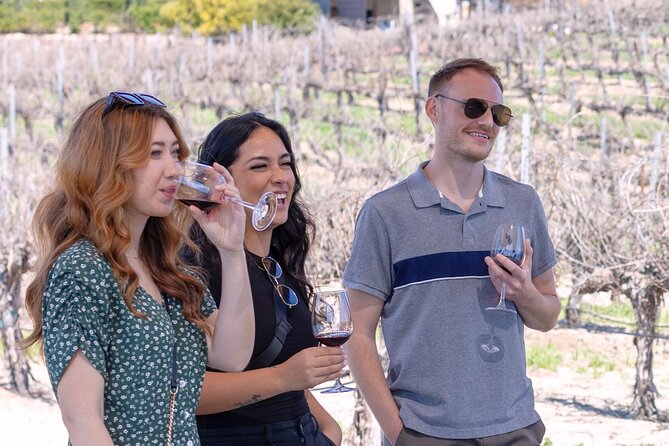 Private Temecula Valley Four-Hour Wine Tasting Adventure - Whats Included in Your Wine Tasting Adventure