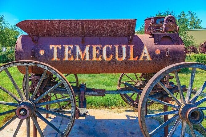Private Temecula Wine Tour from Dana Point - Why Choose This Tour?