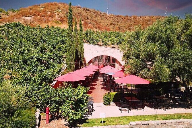 Private Temecula Wine Tour in The Wine Valley - Final Thoughts: Who Will Love This Tour?