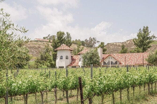 Private Temecula Wine Tour in The Wine Valley - FAQ