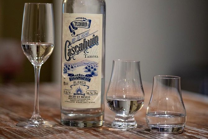 Private Tequila Tour By Mickey Marentes - Key Points
