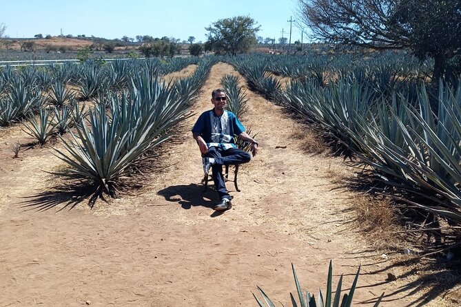 Private Tequila Tour in Guadalajara - Frequently Asked Questions