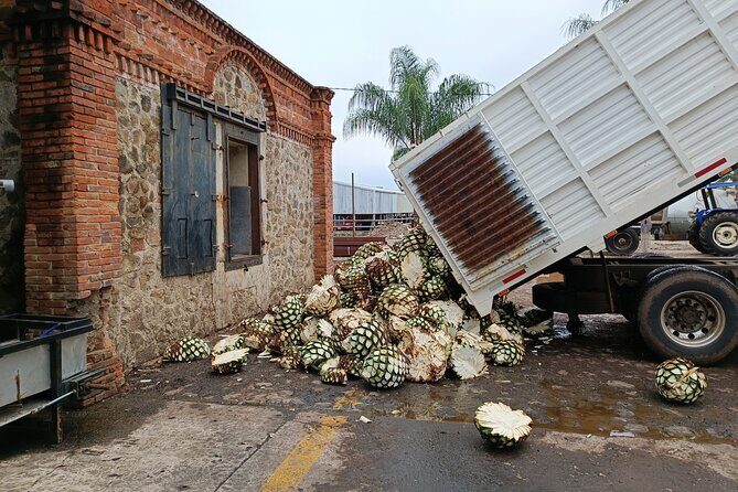 PRIVATE Tequila Valleys Tour: Pyramids, Volcanoes, Agaves&Tequila - FAQ