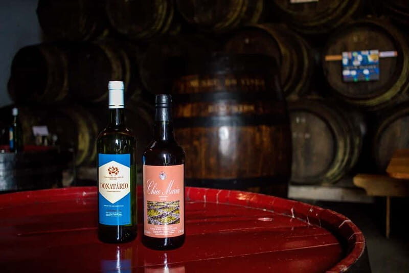 Private Terceira Island Caves: Lava Route - entrances & wine - An In-Depth Look at the Tour Experience