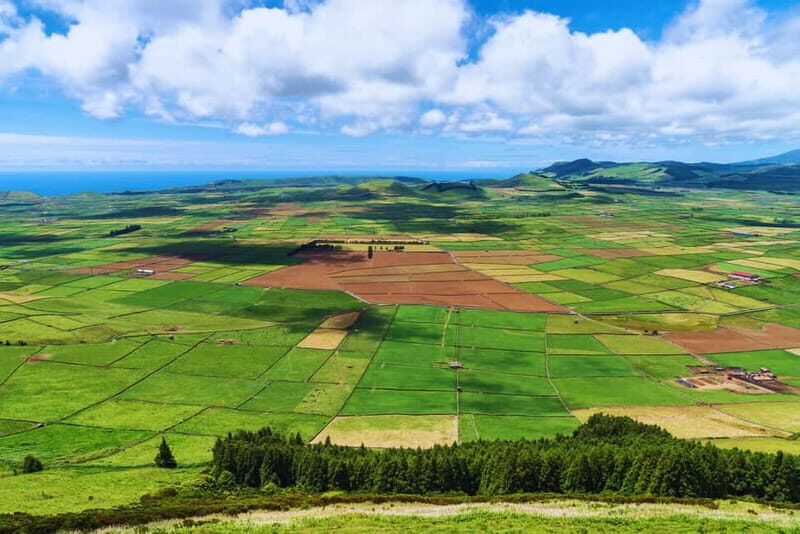 Private Terceira Island Full Day Tour with Cocktail & Tapas - Frequently Asked Questions