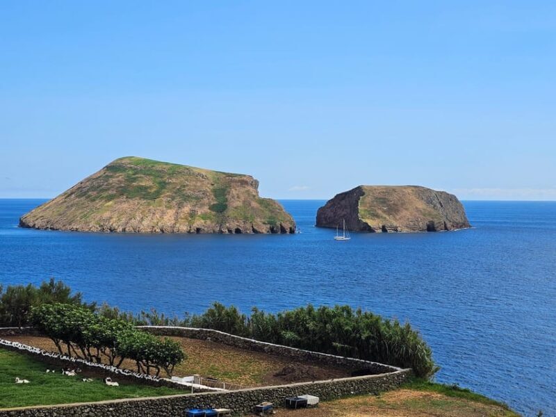 Private Terceira Island Half-Day: Enchanted Bays + tasting - Who Is This Tour Best For?