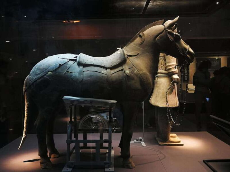 Private Terracotta Army 5-Hour Tour with Options - An In-Depth Look at the Tour