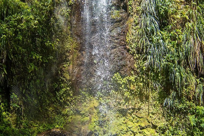 Private Tet Paul Nature Trail/ Mud Baths/ Waterfall - Additional Information and Tips
