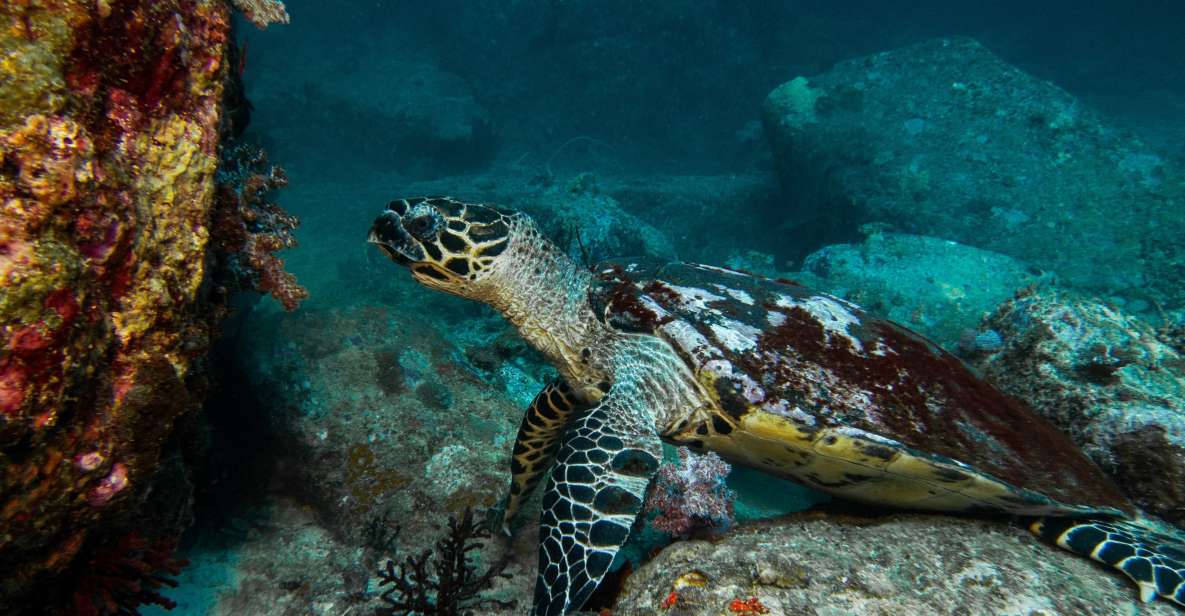 Private : The Serendipitous Expedition - Shipwreck Site Exploration