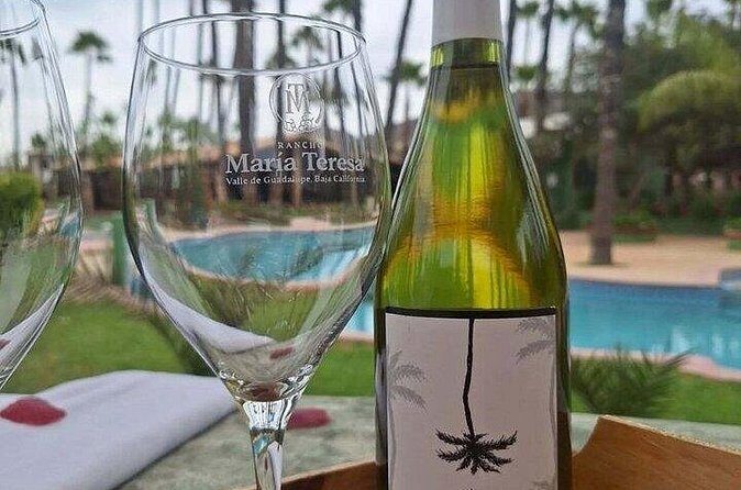 Private Therapeutic Massage Experience in Valle de Guadalupe - Summing Up: Who Will Love This Experience?