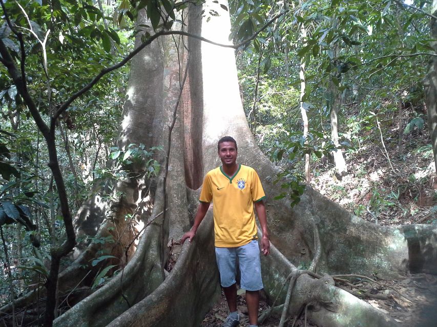 Private Tijuca Forest & Botanical Garden Guided Tour - Booking Information and Tips