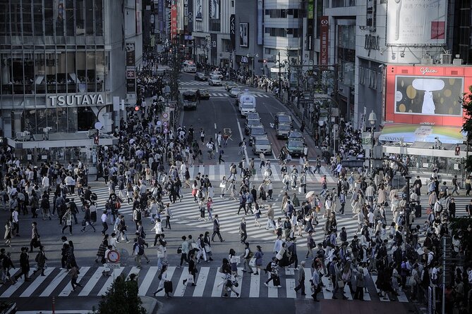 Private Tokyo Tour - up to 9 Travelers - Attractions and Itinerary
