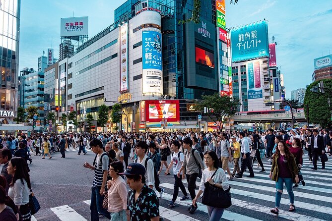 Private Tokyo Tour - up to 9 Travelers - Accessibility and Participation