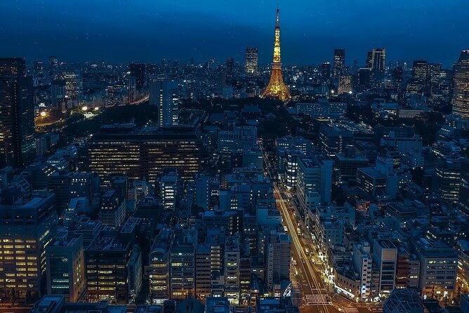 Private Tokyo Tour - up to 9 Travelers - Reviews and Feedback