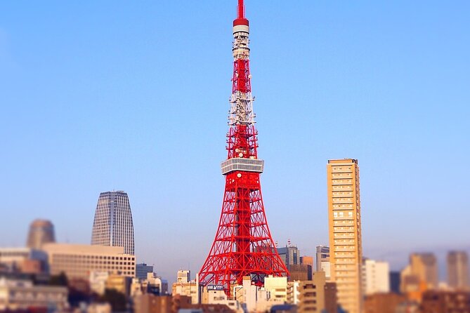 Private Tokyo Tour - up to 9 Travelers - Getting the Most Out of Your Tour