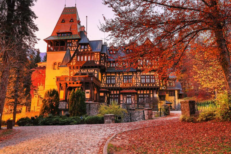 PRIVATE TOUR 1-Day Minivan Draculas, Peles Castle & Brasov - Key Points