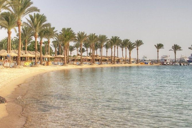 Private Tour: 10 Days Pyramids ,Nile Cruise & Hurghada by Air From Cairo - Traveler Feedback and Reviews